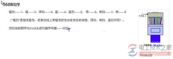 公牛网络插座接法