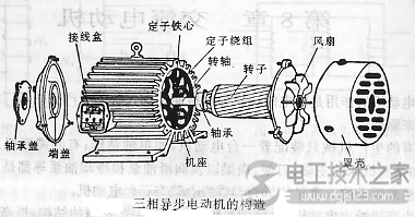 三相异步电动机的构造1