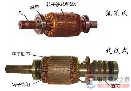 三相异步电动机分类方式