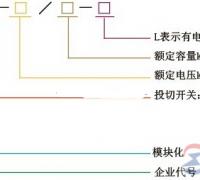 低压动态无功补偿装置型号与结构特点