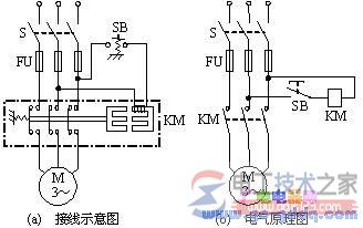 三相异步电动机直接启动控制电路