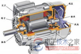 电动机类型
