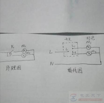 双联开关怎么接线，双联开关的接线示意图