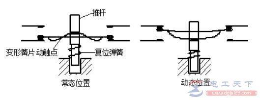 按钮的结构组成，按钮的种类，按钮的常用型号