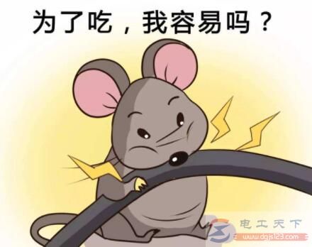 老鼠咬电线不会被电电死什么原因