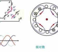 电机极数的分类有哪些