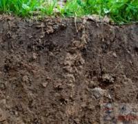影响土壤电阻率的因素有哪些